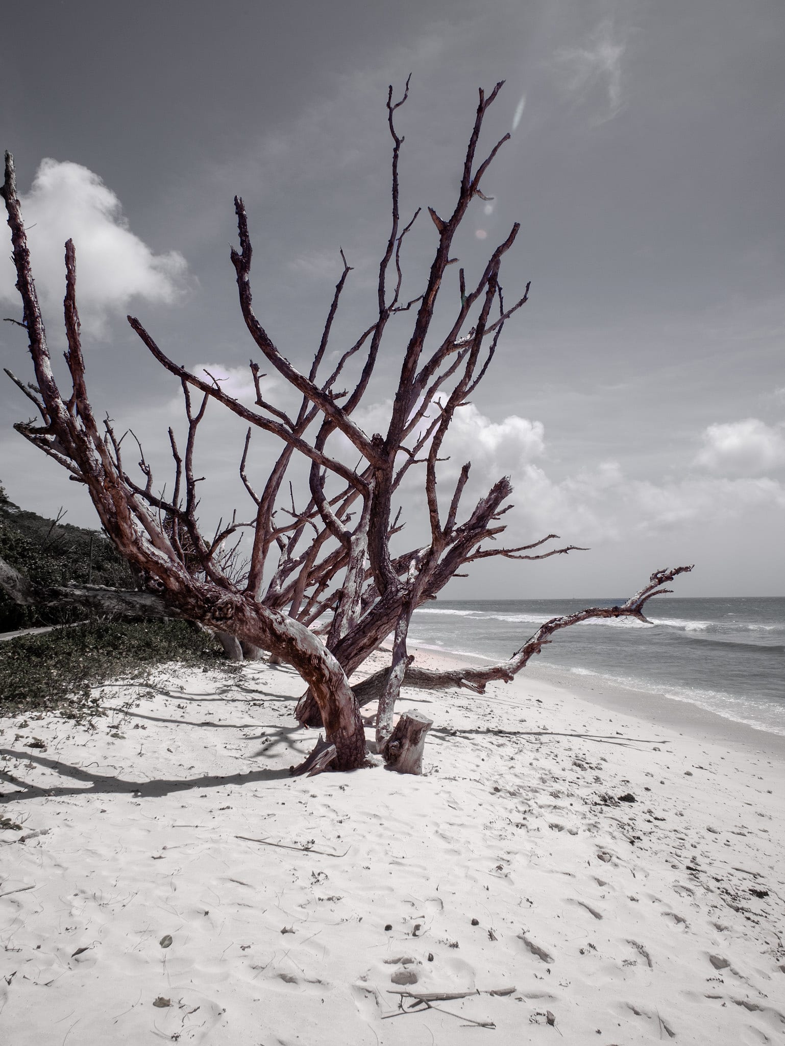 Island Shorelines