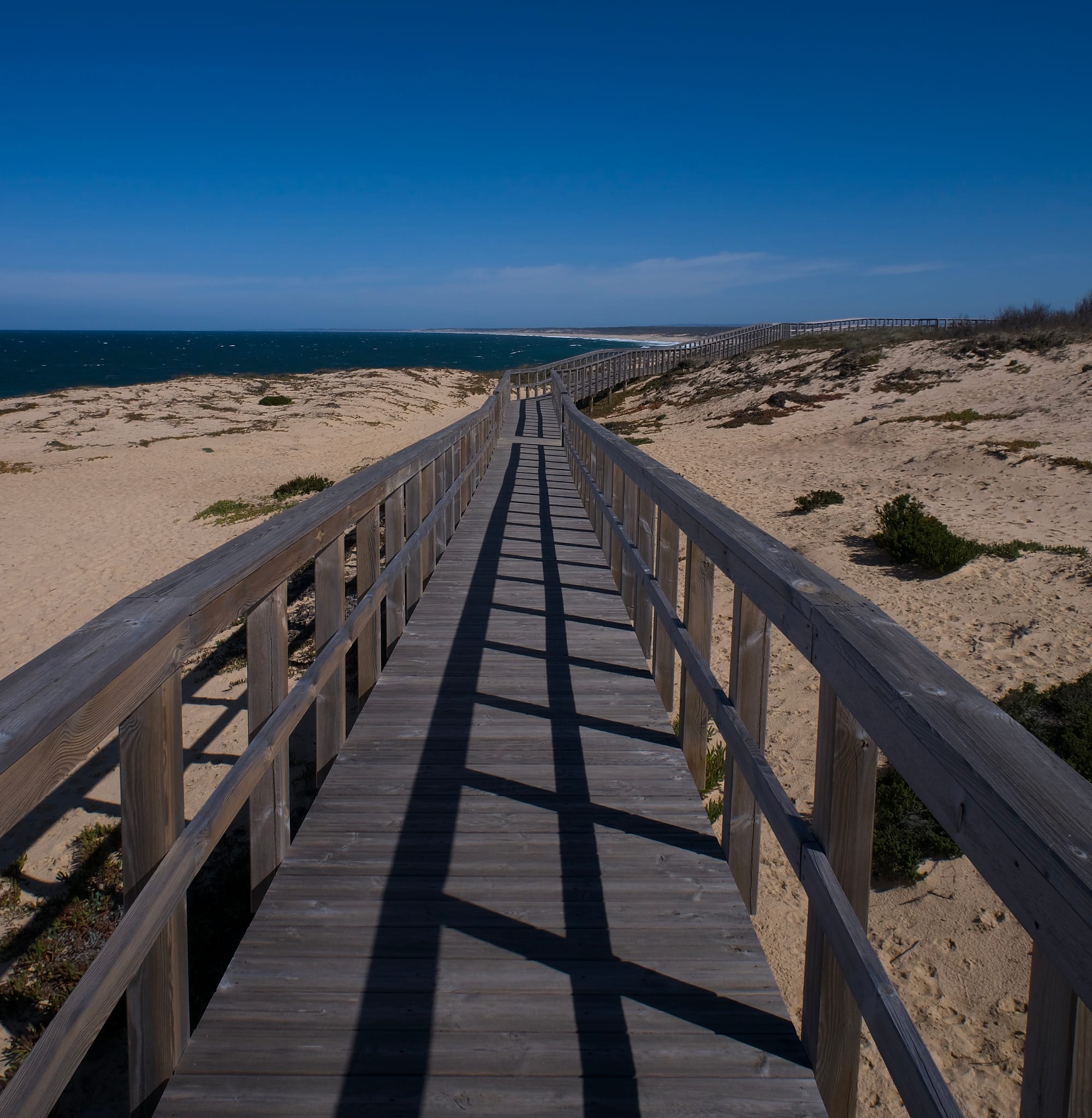 Atlantic Coast