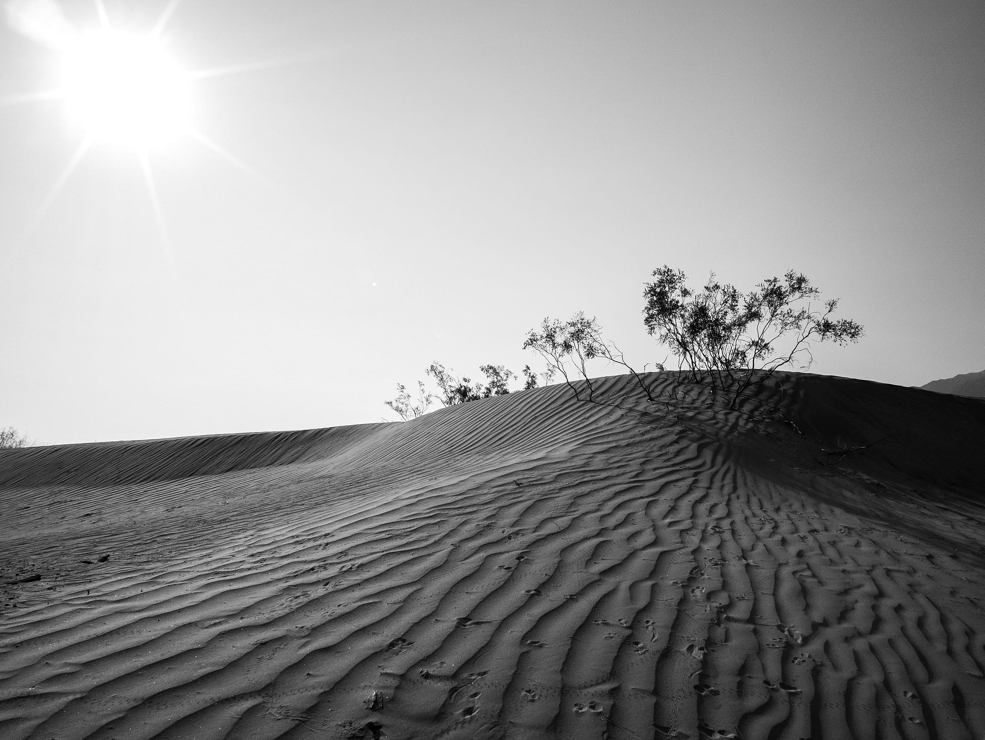 The American West