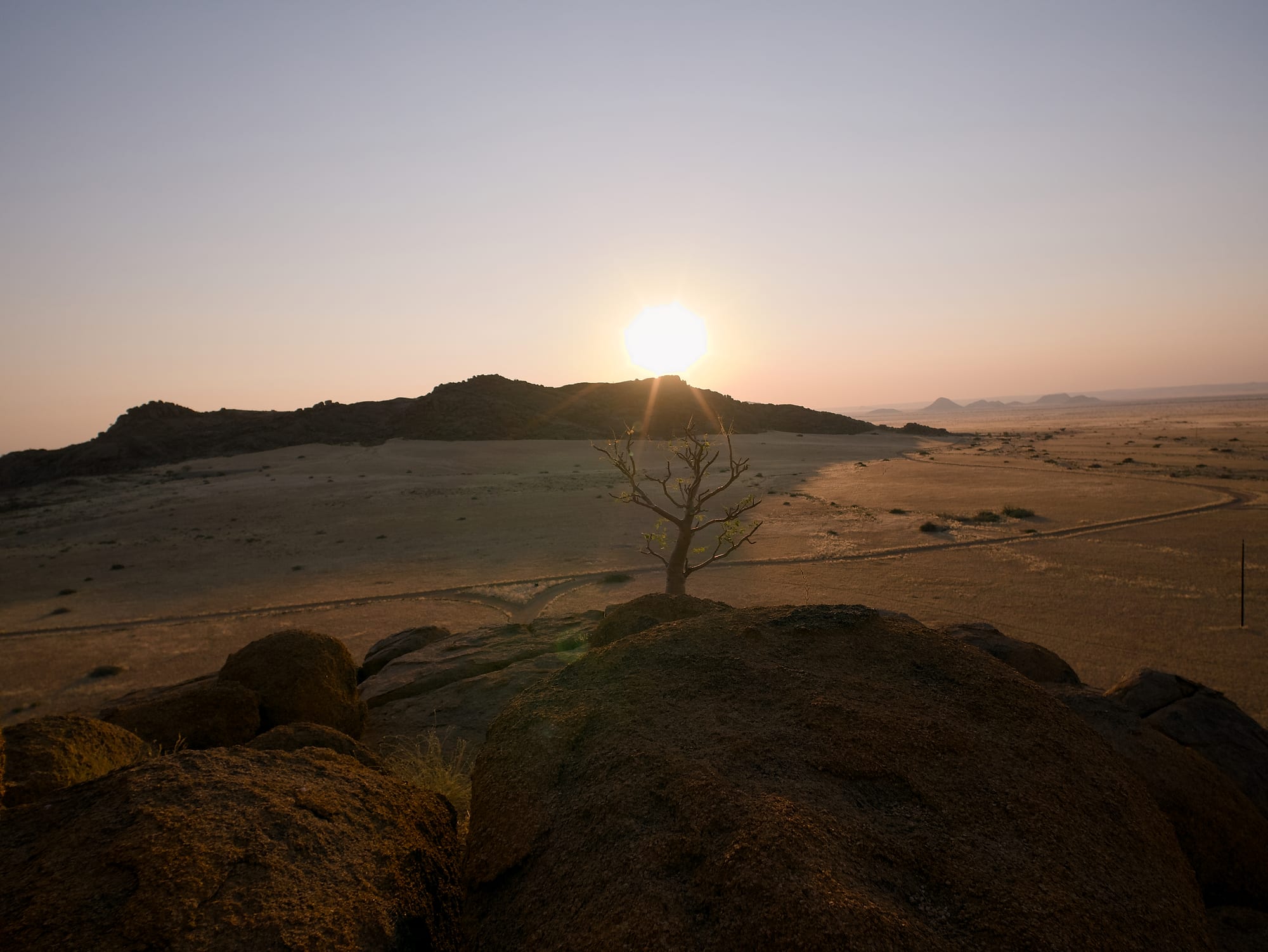 First Light on the Koppies