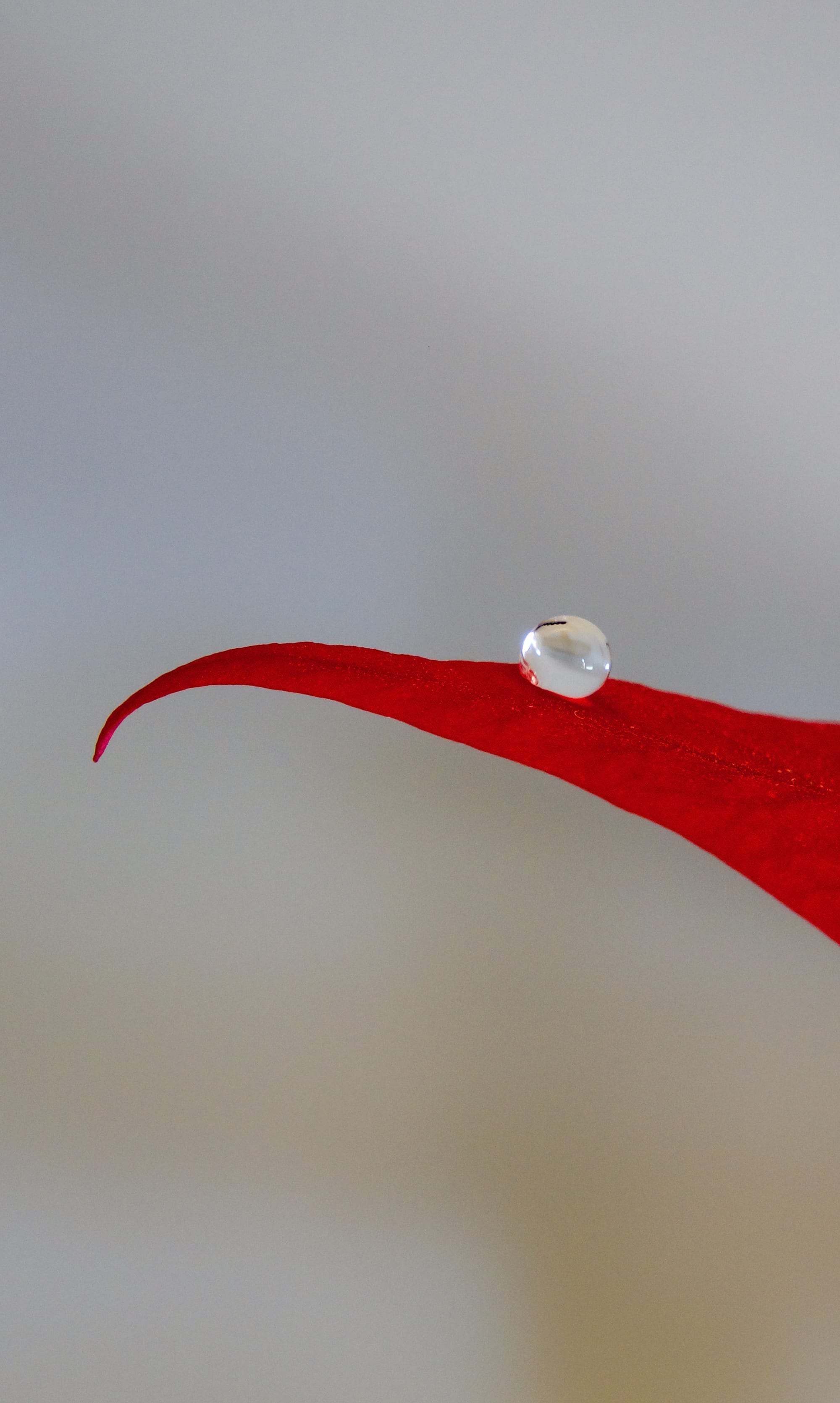 One Drop