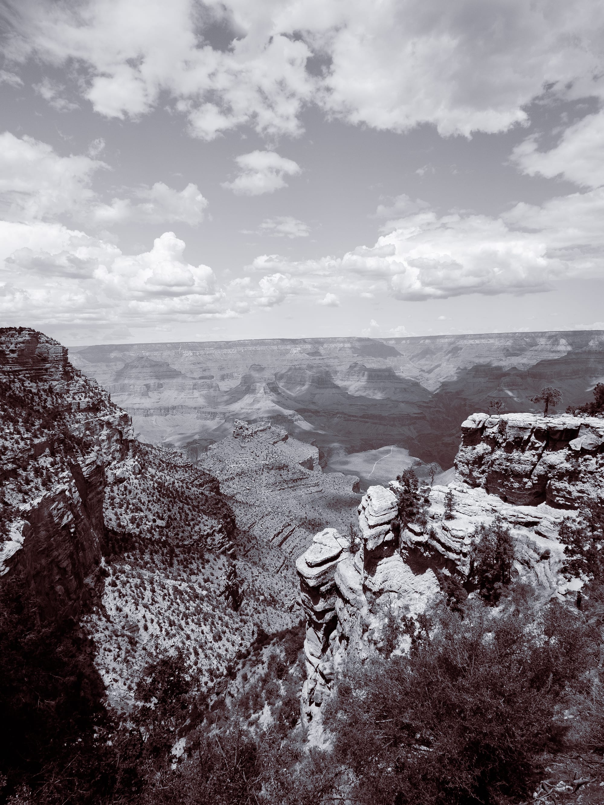 The American West
