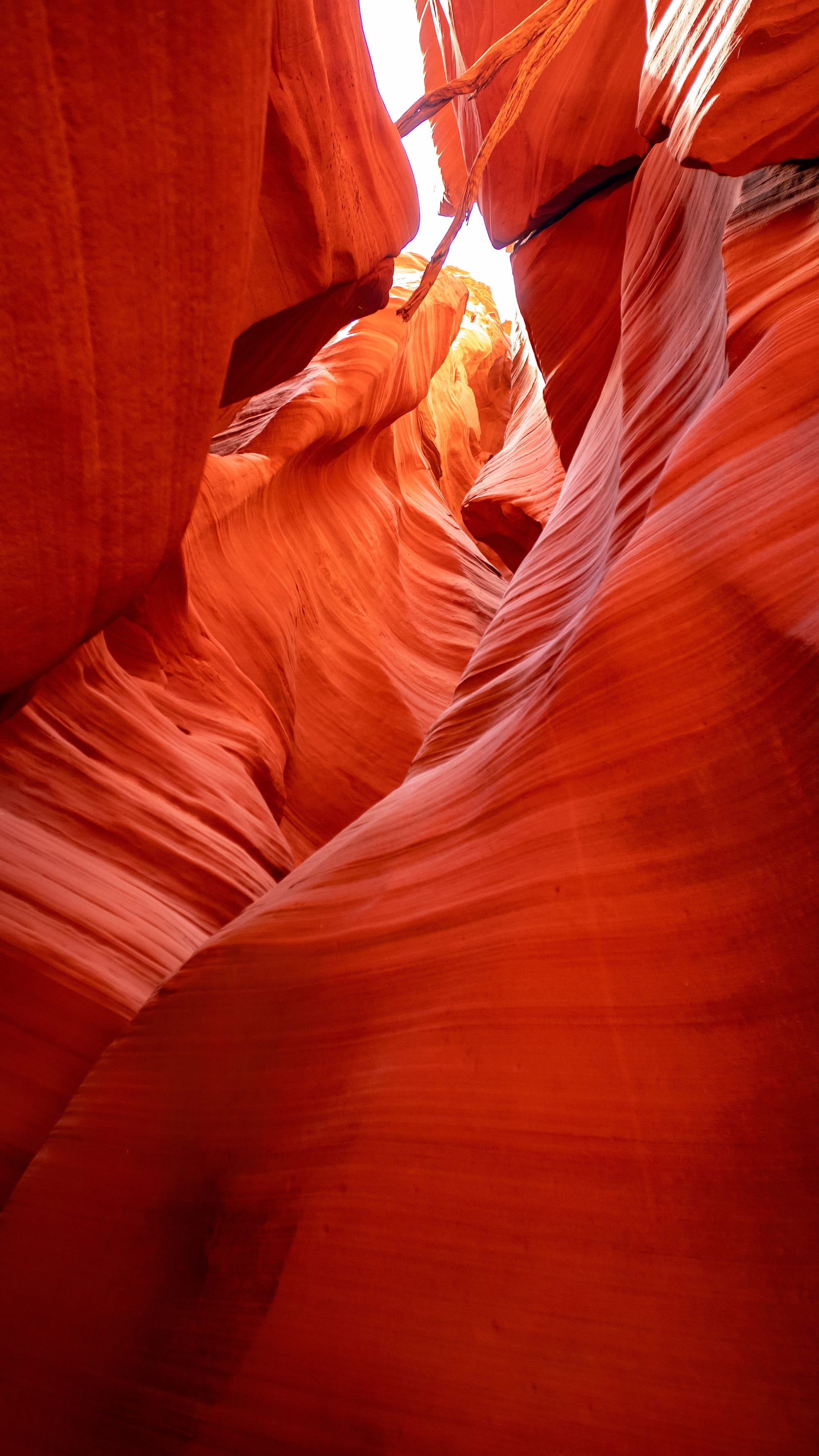 The American West